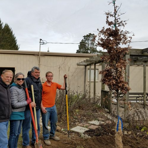 Group of volunteers with shovels