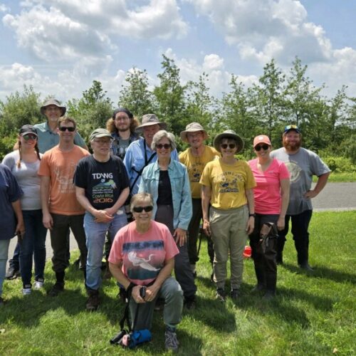 imagejpeg_0 (2)[100]