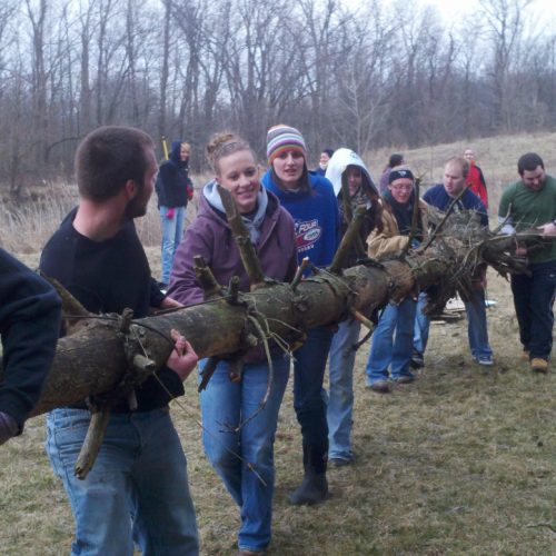 Group of student volunteers carrying tree